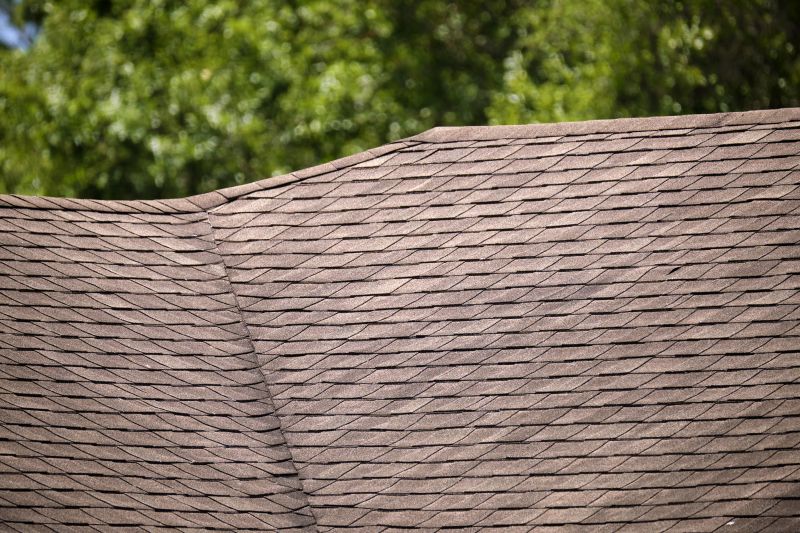 Precise Shingle Replacement